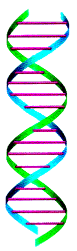 Main page - Introduction to Genetic Algorithms - Tutorial with Interactive  Java Applets